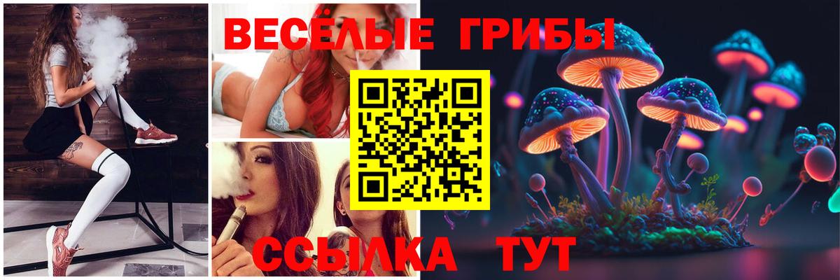 Псилоцибиновые грибы Назрань