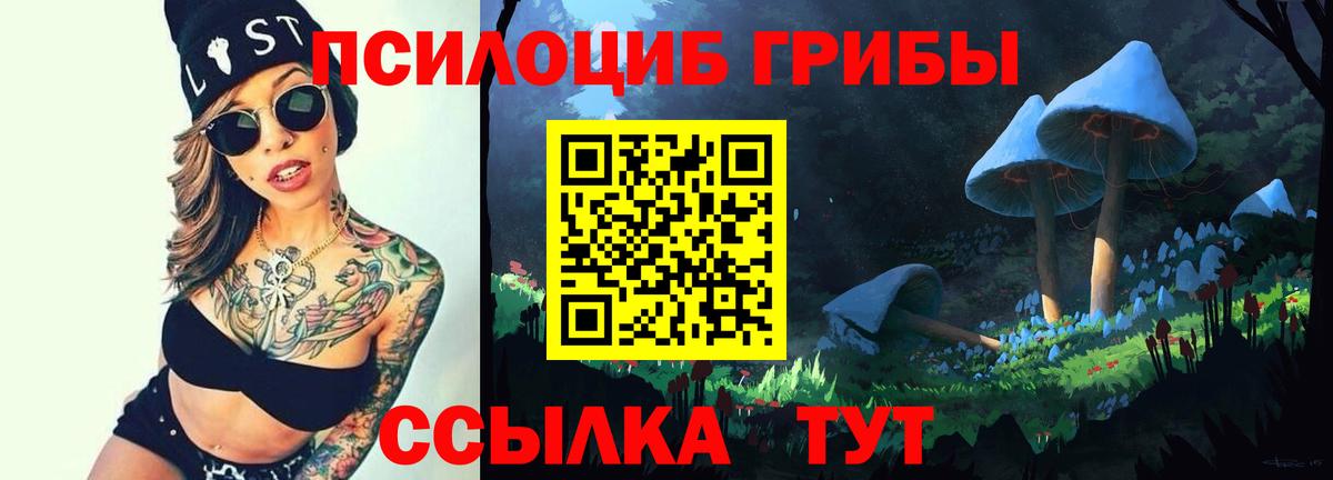 Псилоцибиновые грибы мицелий Назрань